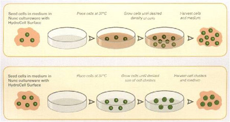 Nunc HydroCell表面產品