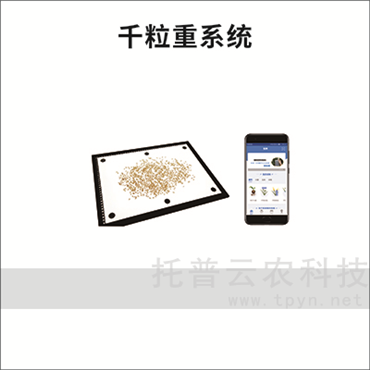 種子計數儀（千粒重系統）