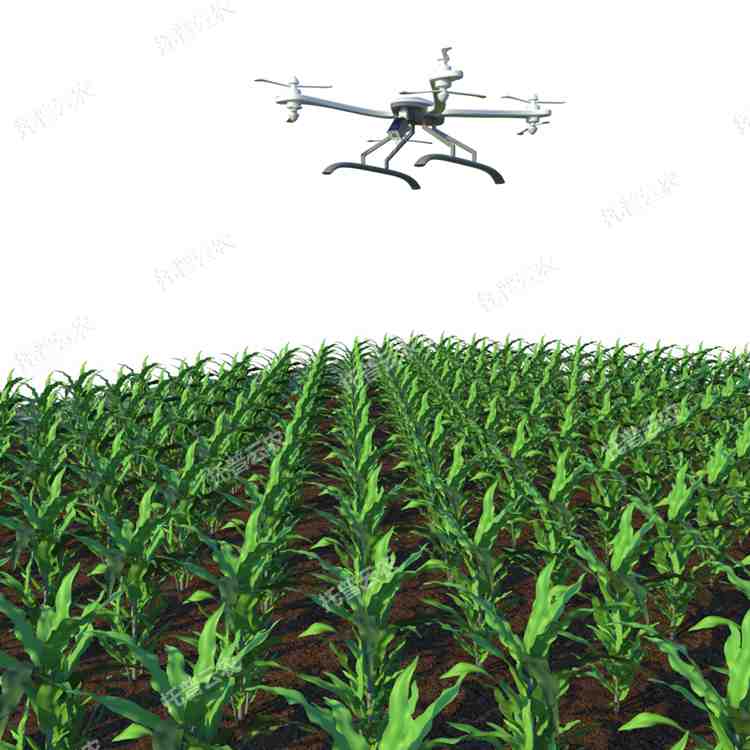 無人機田間高通量植物表型平臺