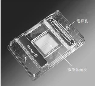 圖1 微流體dPCR的12×765 反應芯片