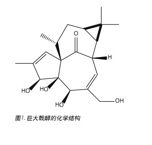 D1.޴ꪴWY
