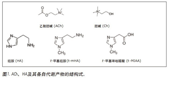 CORTECS UPLC HILICɫV_lһN܉XҺ(CSF)đAMxaͬrMжUPLC/MS/MSy