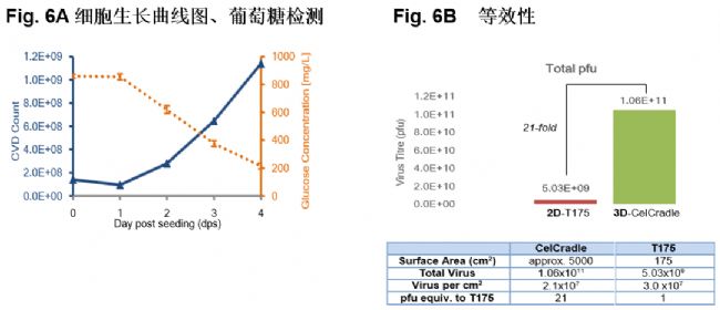6A-B.png