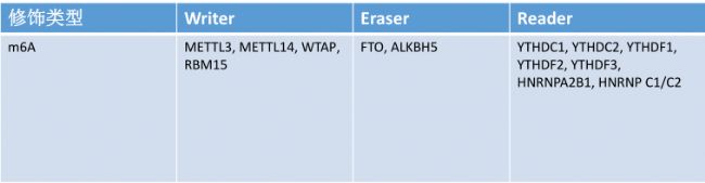 m6APøAϳɵ()/shRNA/siRNA