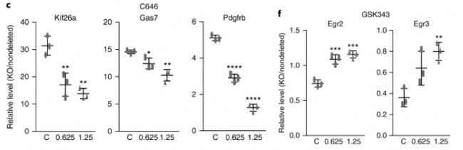 RNA-seqóMettl14½MȫMȰl׃ĶӰ푻_