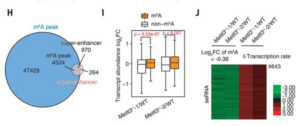 3carRNA m6A׻{MȾɫ|_cD