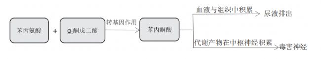  ͱͪYPKU