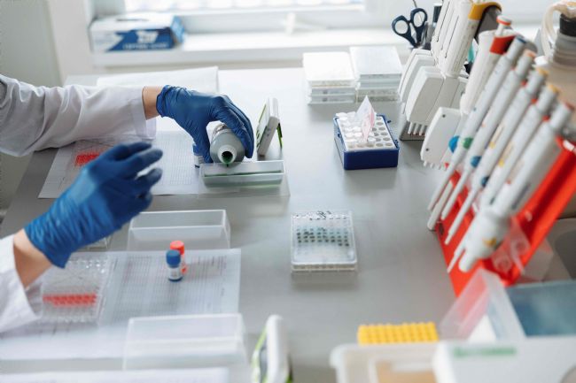 各分子在內毒素信號轉導途徑的作用
