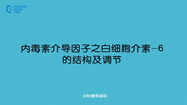 ȶؽ錧֮׼-6ĽY{