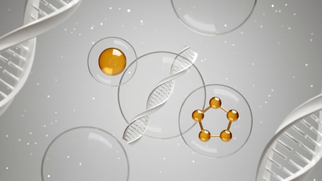 Lipid Acһ֬ڽYʲôe