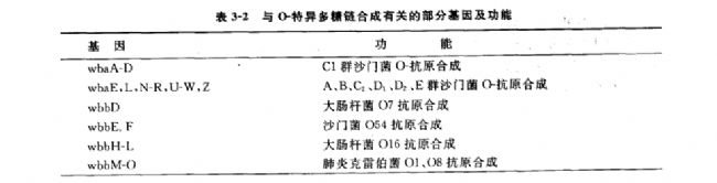 內毒素分子的跨膜轉運和O-特異多糖鏈合成的遺傳學研究