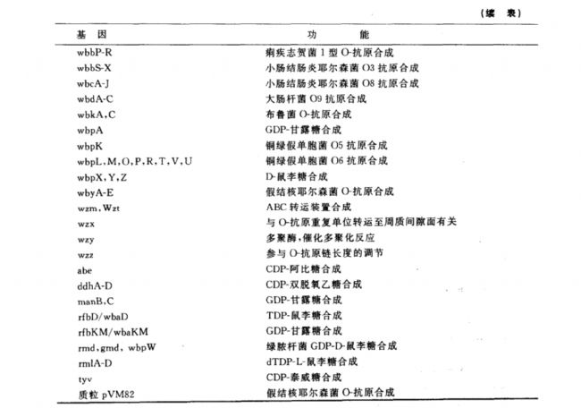 內毒素分子的跨膜轉運和O-特異多糖鏈合成的遺傳學研究
