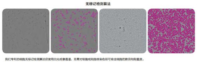 細胞成像系統