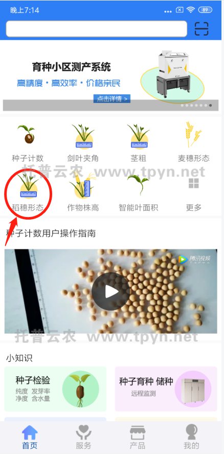 TPMS-X-I麥穗形態測量儀