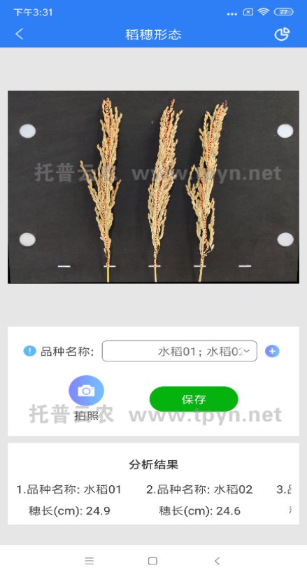TPMS-X-I麥穗形態測量儀