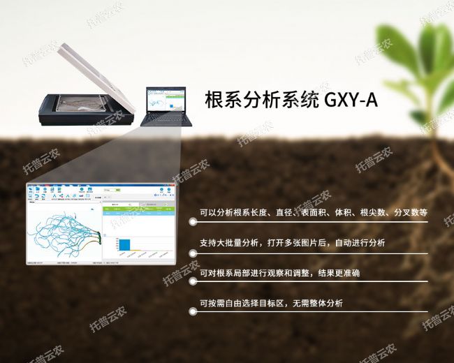 根系分析系統GXY-A