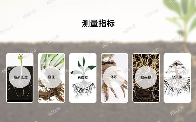 根系分析系統GXY-A