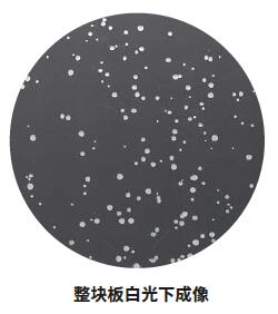 微生物篩選系統(tǒng)
