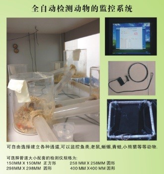 v ОOyϵy