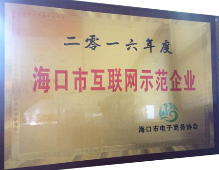 海南馬良師傅喜獲海口市互聯網示范企業稱號