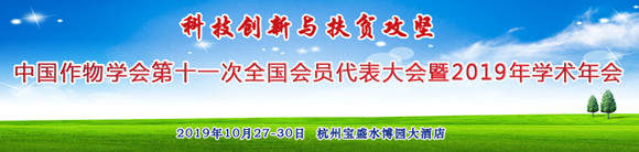 ЇWʮһȫT2019Wg