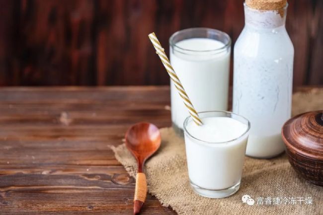 益生菌制品冷凍干燥應用和工藝